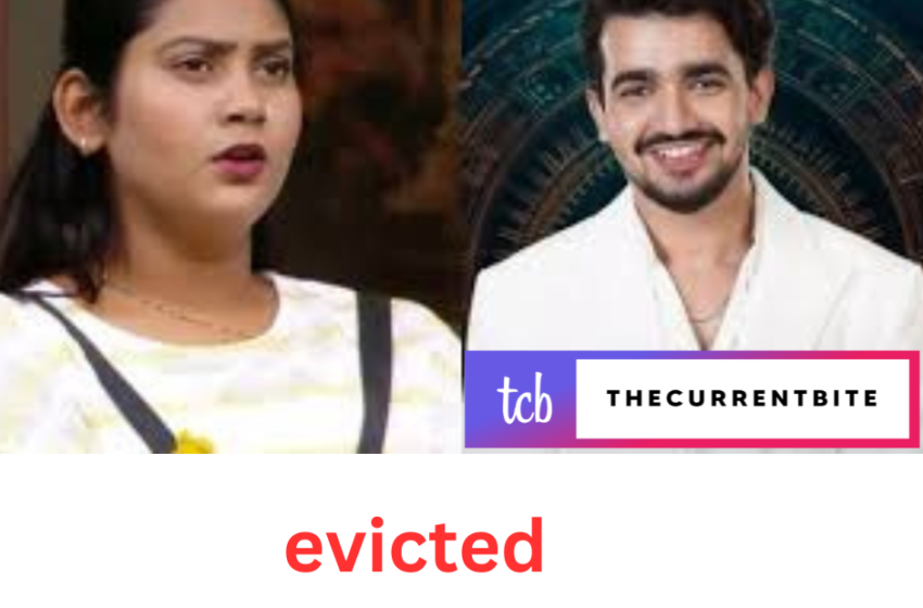  Bigg Boss OTT 3: Vishal Pandey gets eliminated after After Shivani Kumari’s eviction.